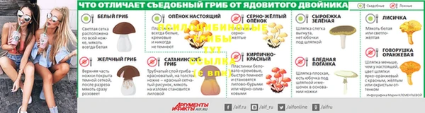 амф Краснослободск