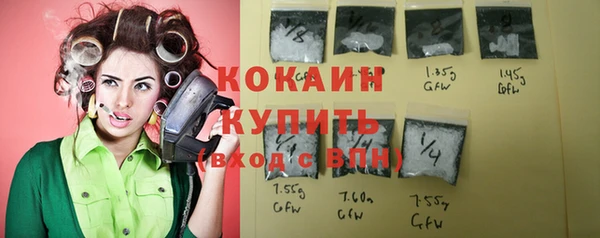 амф Краснослободск