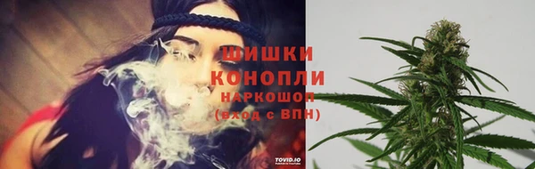 амф Краснослободск