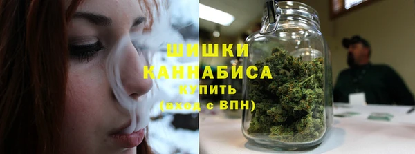 амф Краснослободск