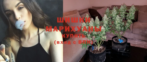 шишки Артём