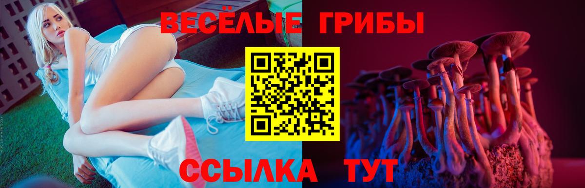 Усть-Илимск  Псилоцибиновые грибы Psilocybe  Галлюциногенные грибы ЛСД  Вход с VPN 